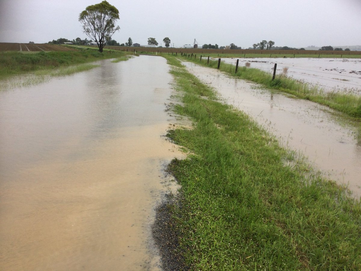 Only had 219 mls for Nov.  But 1048 mls. Year to date. Second to record for Killarney set in 1893 of 1380 mls. If Dec. is like Nov .might go close to 1893 record.  Average is 720 mls.