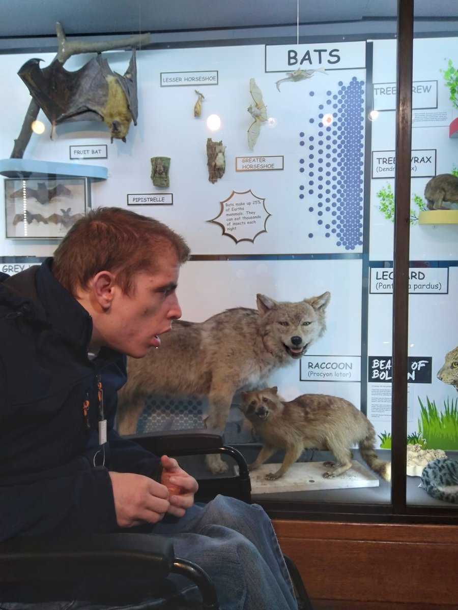AspireSalford's tweet photo. Jack has been getting out and about with Aspire support worker Dave. Some of the places they have visited are Salford Quays and Bolton Museum.
"Jack has had a great time and really enjoyed seeing new places."
#supportinthecommunity #communitysupport #aspiretoinspire https://t.co/oFWwZpy6lR