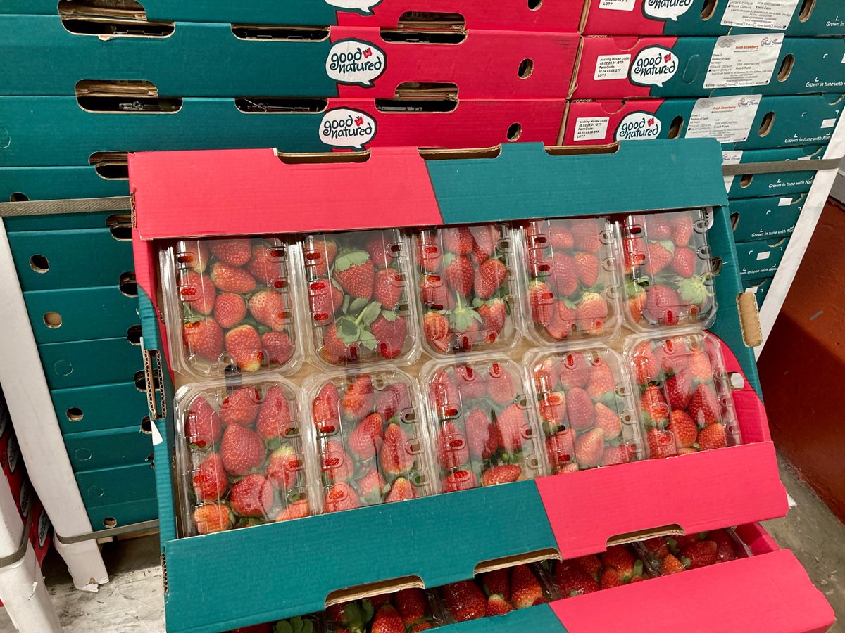 AngusFruit's tweet photo. Egyptian Good Natured Strawberries available now! Contact Angus Select to place your order π
#AngusSelect #GoodNatured #ImportSeason #EgyptianStrawberries #FoodIndustry #Hospitality #FreshProduce
#SoftFruit #Catering #SoftFruitWholesale #FoodMarket #FreshFruitMarket https://t.co/NDXi3JQQog