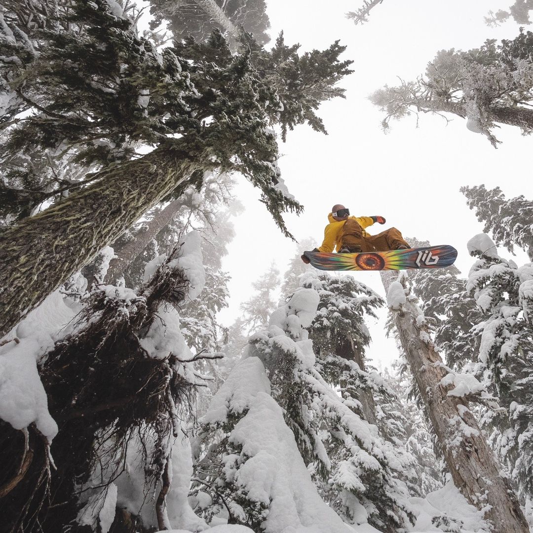 Kaulike Shop tweet media