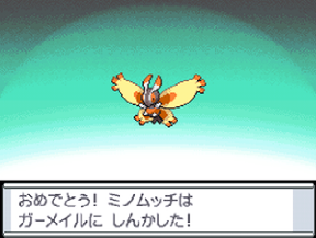 تويتر ファイヤー使い友の会 على تويتر ミノムッチがバグの素体として最適 ミノムッチこそバグの化身とか言ってキャッキャしてる奴ら 我々ポケ老人からすると15年 遅い んだよな 草木のミノ以外のミノムッチから進化させたガーメイルをバトレボに登録すると