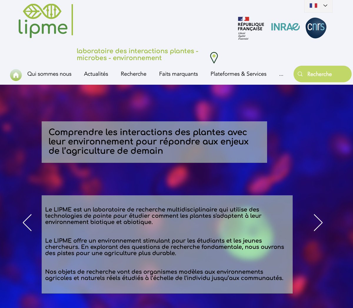 LIPME_Toulouse's tweet photo. [#Annoucement] 📢 our new web site https://t.co/Qy8Jchs5zB is open for business…hope you like it and find all #LIPME-relevant information. https://t.co/ASc6Cu3UOq
