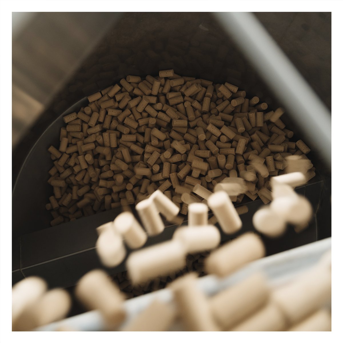 Ebrocork tweet media