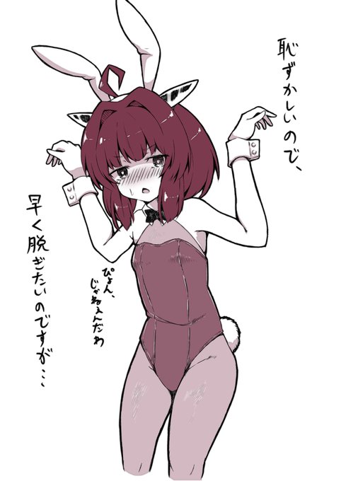 バニコスきりたん 