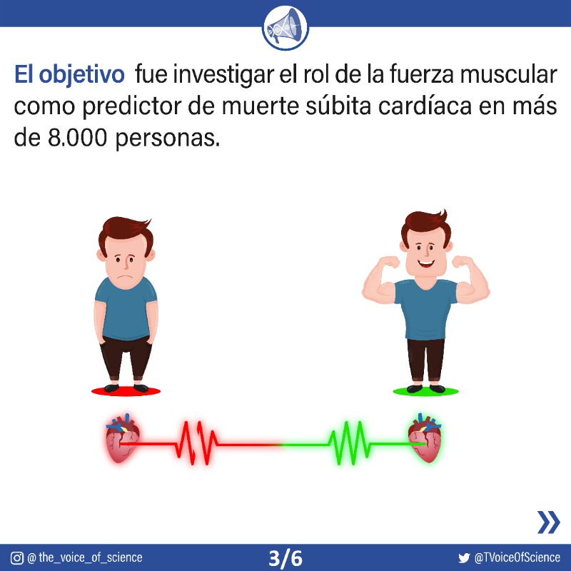 TVoiceOfScience's tweet photo. 📉 Niveles de fuerza muscular como predictores de la muerte súbita cardíaca (Jimenez Pavon et al. Mayo Clinic 2019).