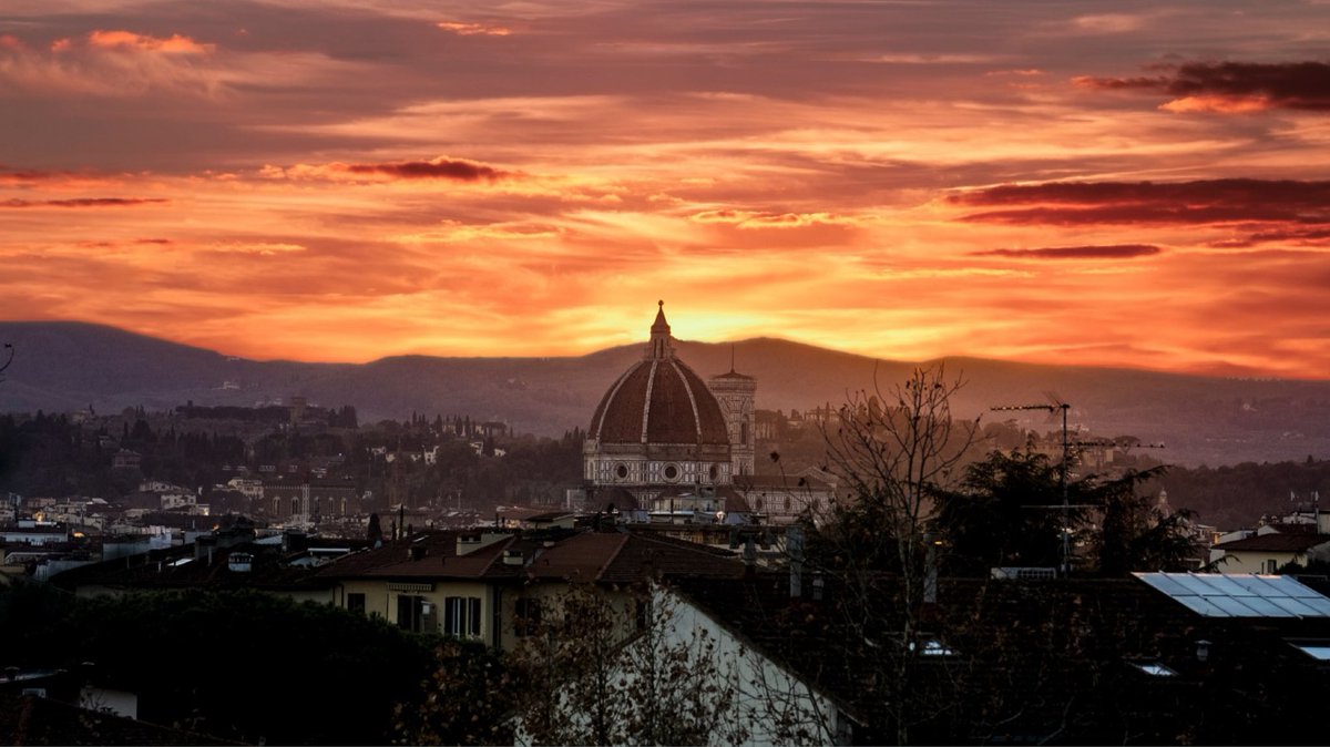 Gudrun Herrmann tweet media