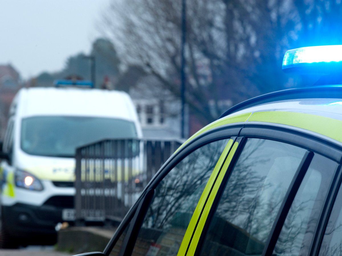 Mind Blue Light tweet media