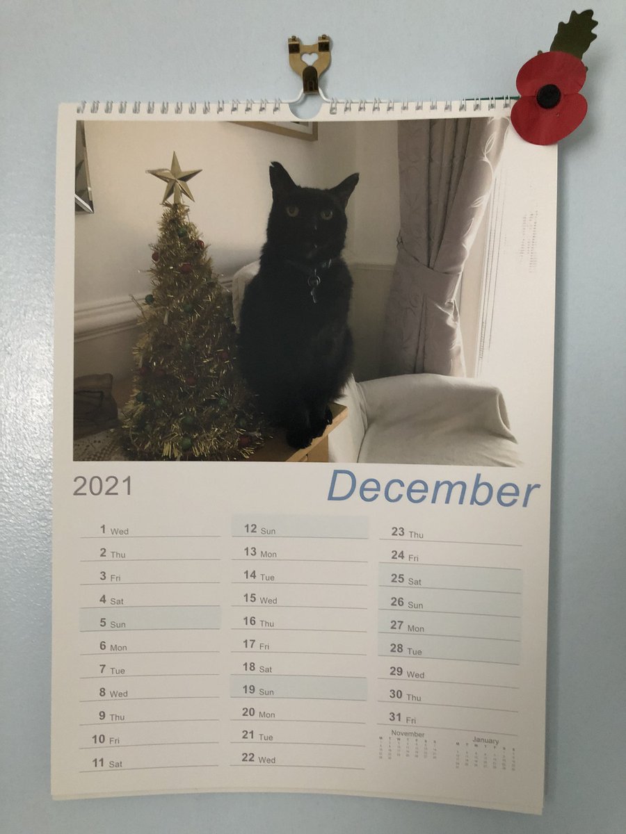 Mr Boris🐾 *Parody* tweet media