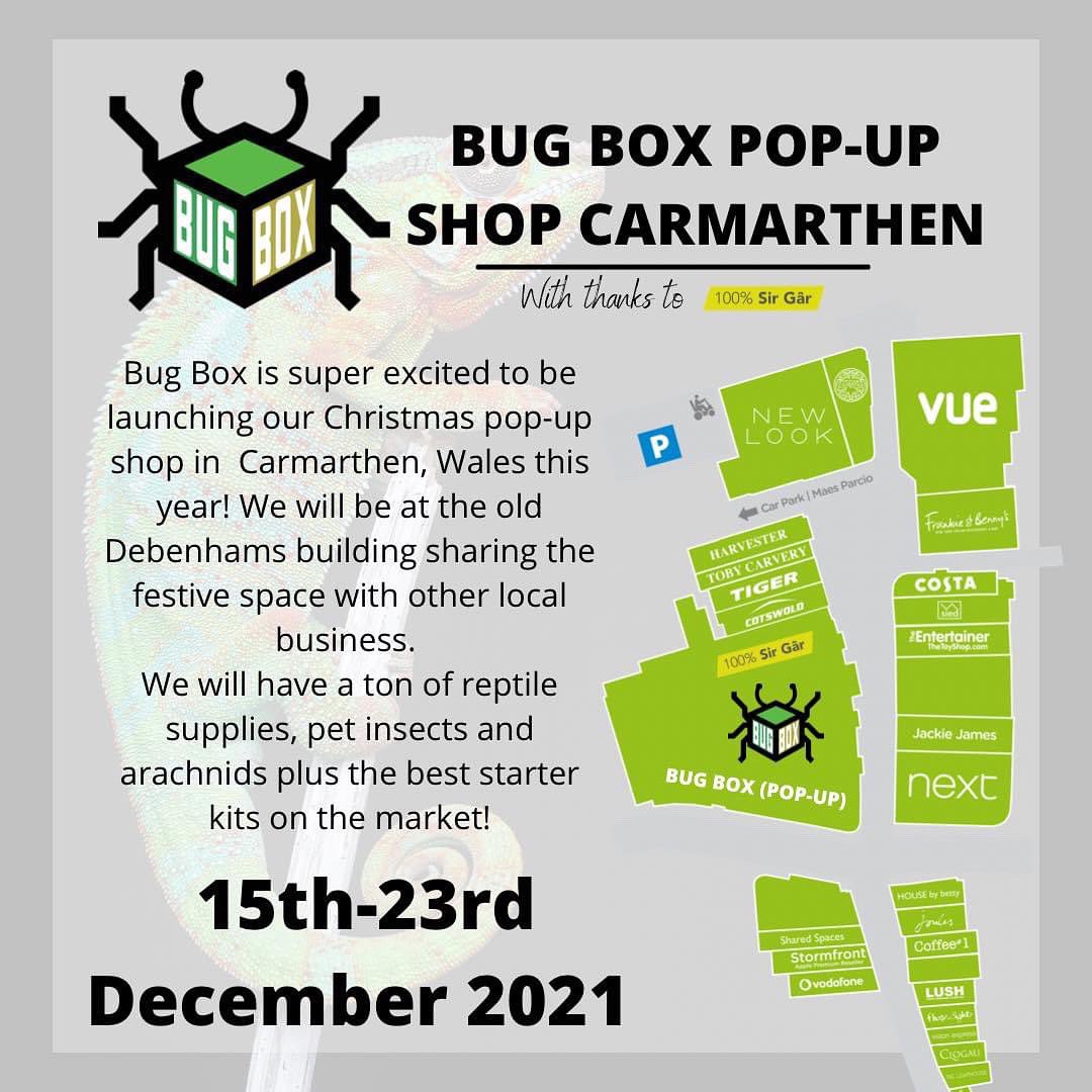 Bugboxuk's tweet image. We are excited to announce that #BugBox is having their own Christmas #PopUpShop in Carmarthen this year 🤩

We will be there from the 15th - 23rd December, our opening times are;

15th - 18th: 9am-5pm
19th: 11am-4:30pm
20th - 23rd: 9am - 5pm 

We hope to see you guys there 😁