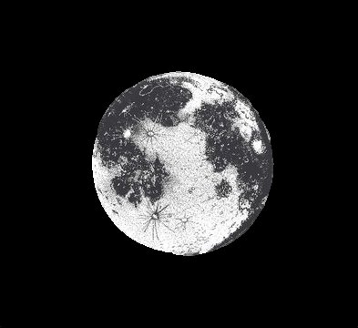 UncleSam tweet media