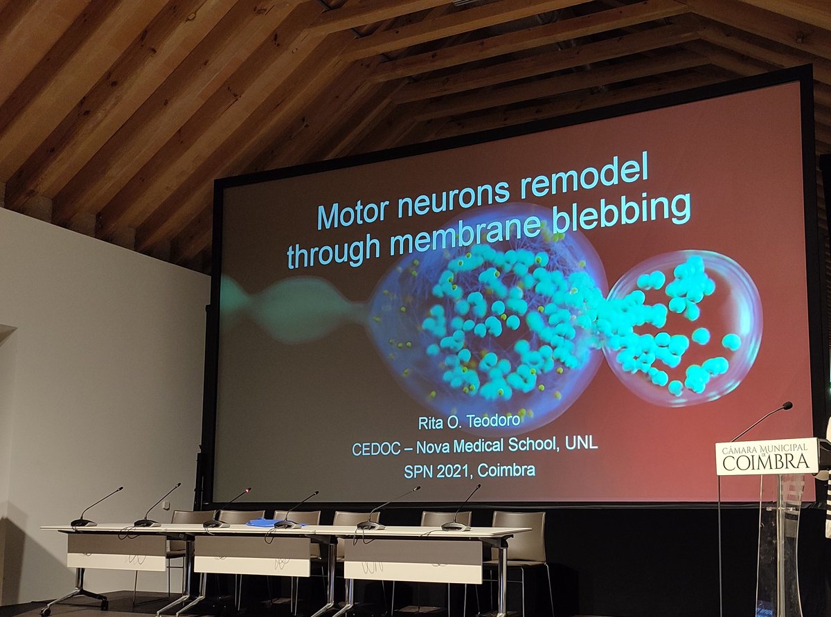 cnc_uc's tweet image. Symposium I - XVII Meeting of the Portuguese Society for Neuroscience - ends with Rita Teodoro! 🧠
#spnv2021coimbra #neuroscience
@SPNeurociencias 
@Teodoro_Lab
@nova_medschool