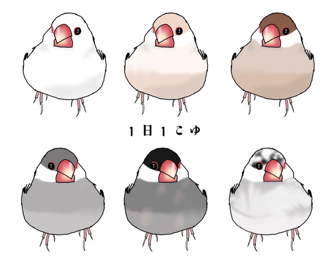 文鳥イラストのtwitterイラスト検索結果