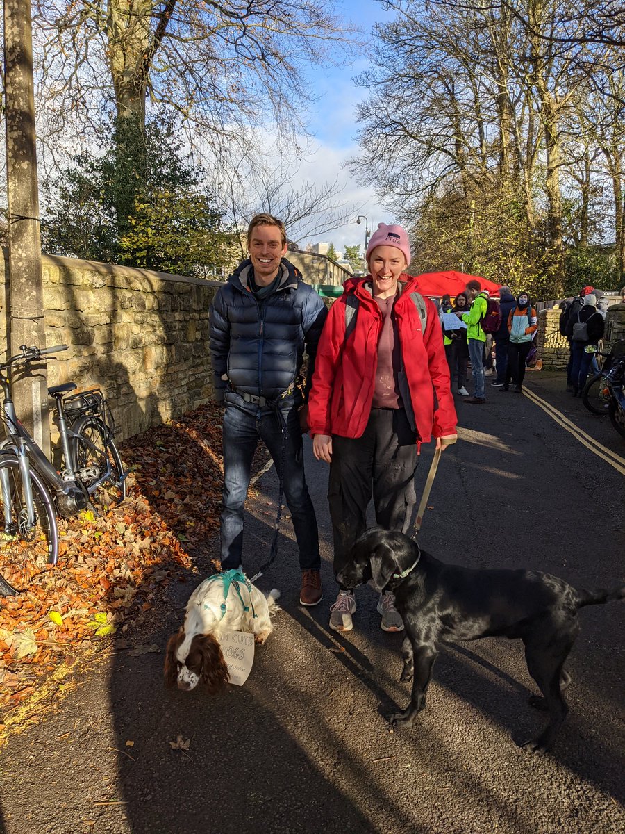 UCUBath's tweet photo. Pension cuts make dogs sad! Admittedly a struggle getting these two to pose... #OneOfUsAllOfUs #DogsOnPickets @UCUSOUTHWEST https://t.co/oMrLiIhKgI