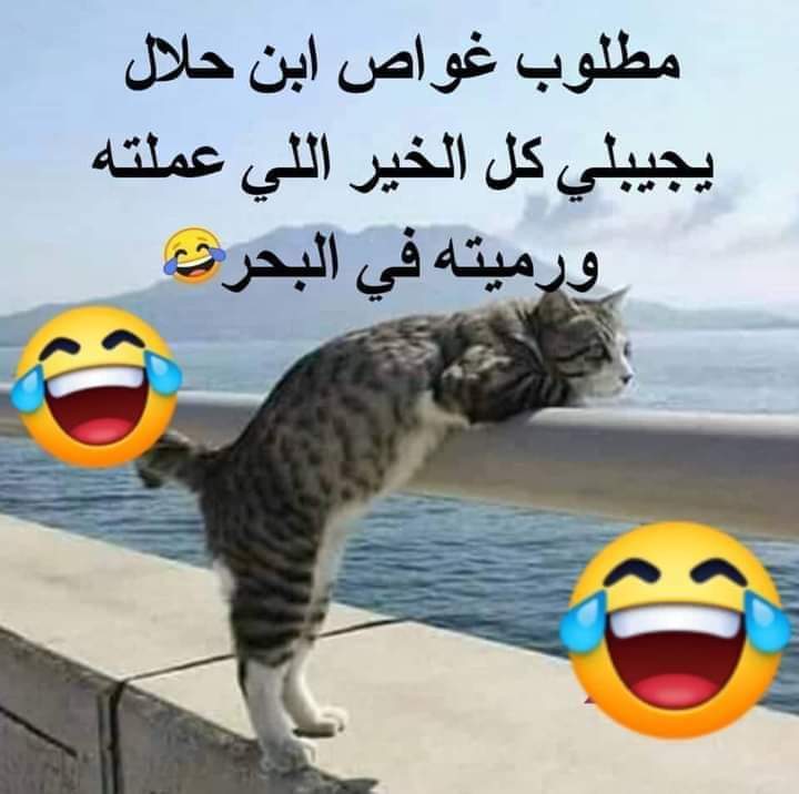في غواص ابن حلال هنا ياجماعه 😂😂😂😂😂😂