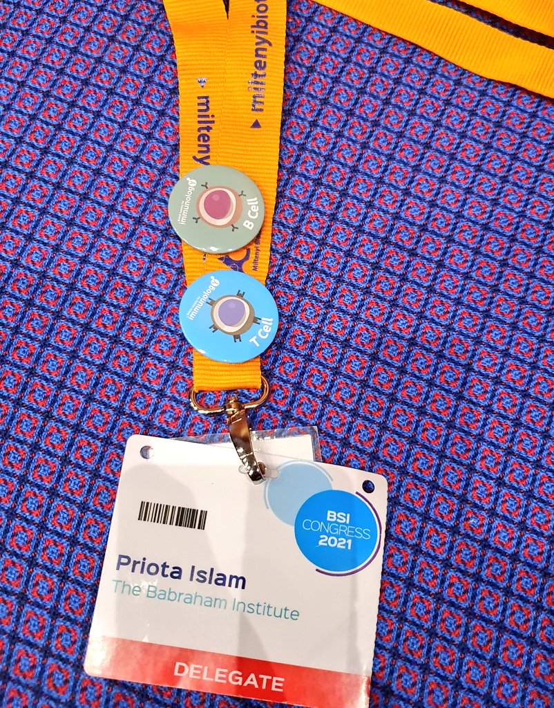 PrioIslam's tweet photo. These immune cell badges are too cute 😍
Love working with T cells now but B cells were my first love ❤ 
#tcells #bcells #iloveimmunology #BSI21 https://t.co/NLwOXbztgK