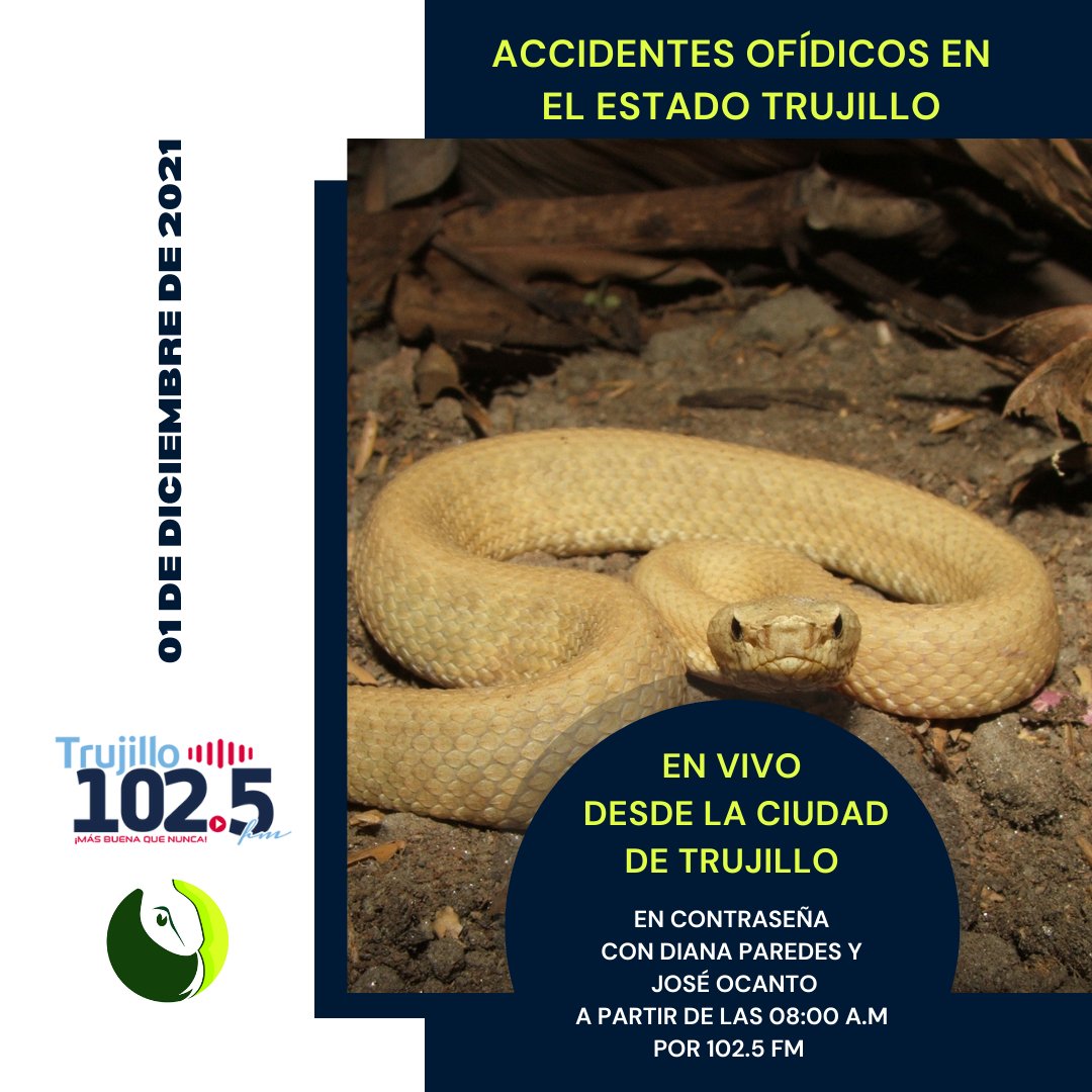 Serpentariocom's tweet photo. Estaremos en vivo en Contraseña con Diana Paredes y José Ocanto. Te esperamos a partir de las 8:00 a.m a través de 102.5 FM.

Puedes escuchar el programa en: https://t.co/xBa0QiS2uE https://t.co/C2dPF0WlMH