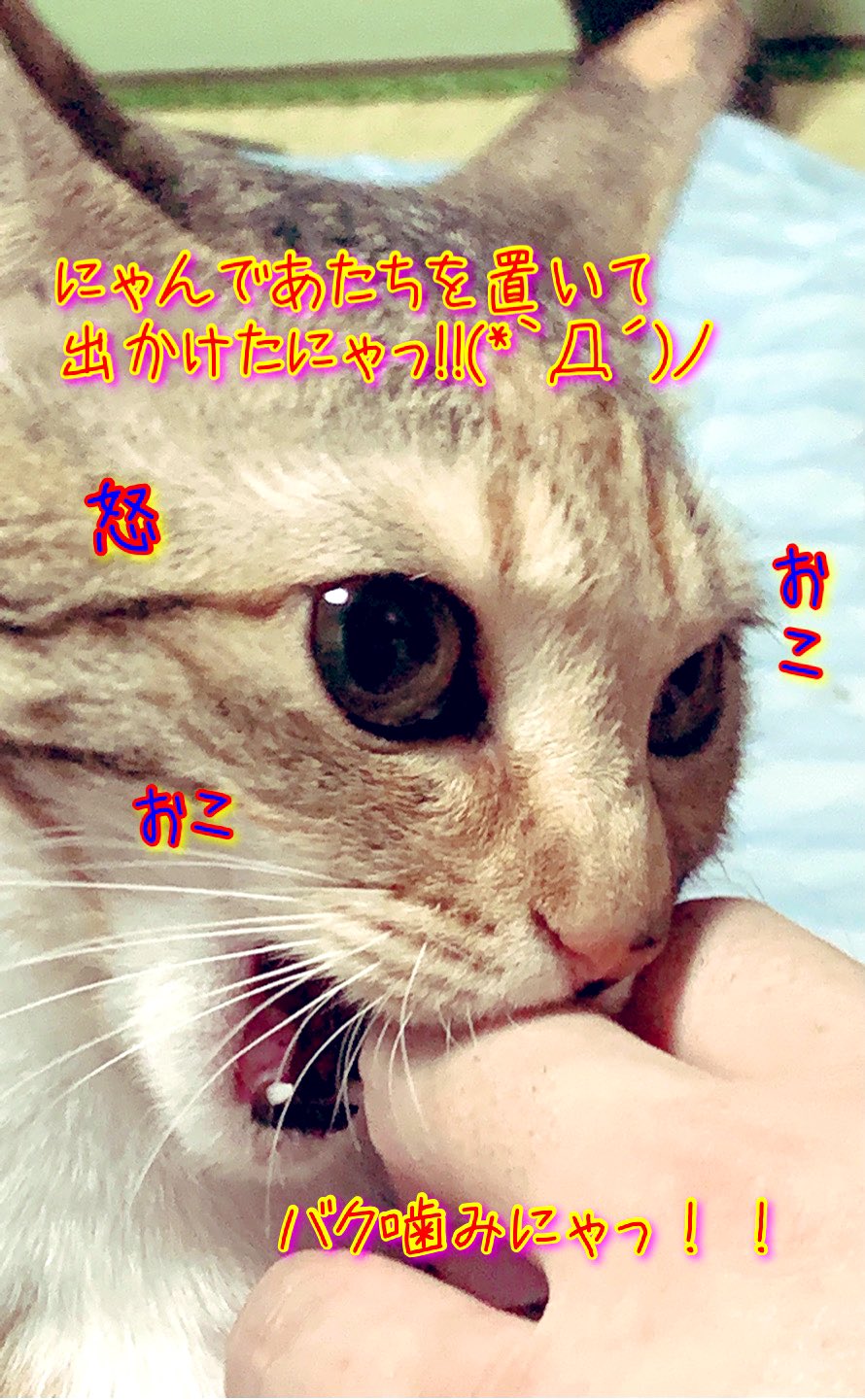 噛み Twitter Search Twitter