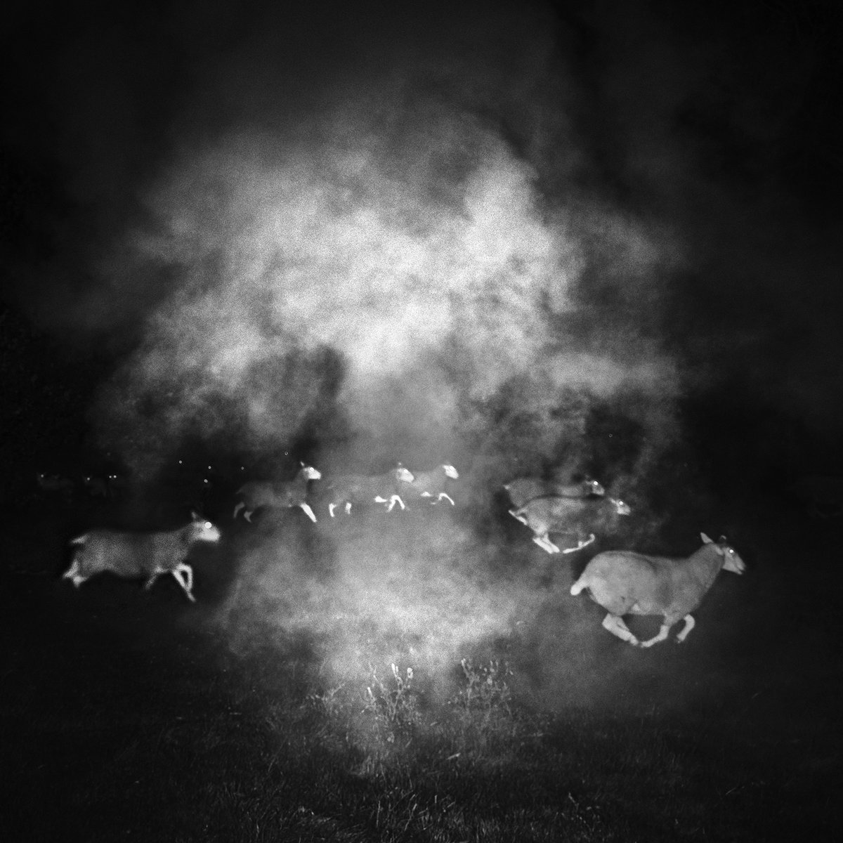 Robin__Friend's tweet image. APIARY 🔥 The NFT Collection
foundation.app/collection/rfa