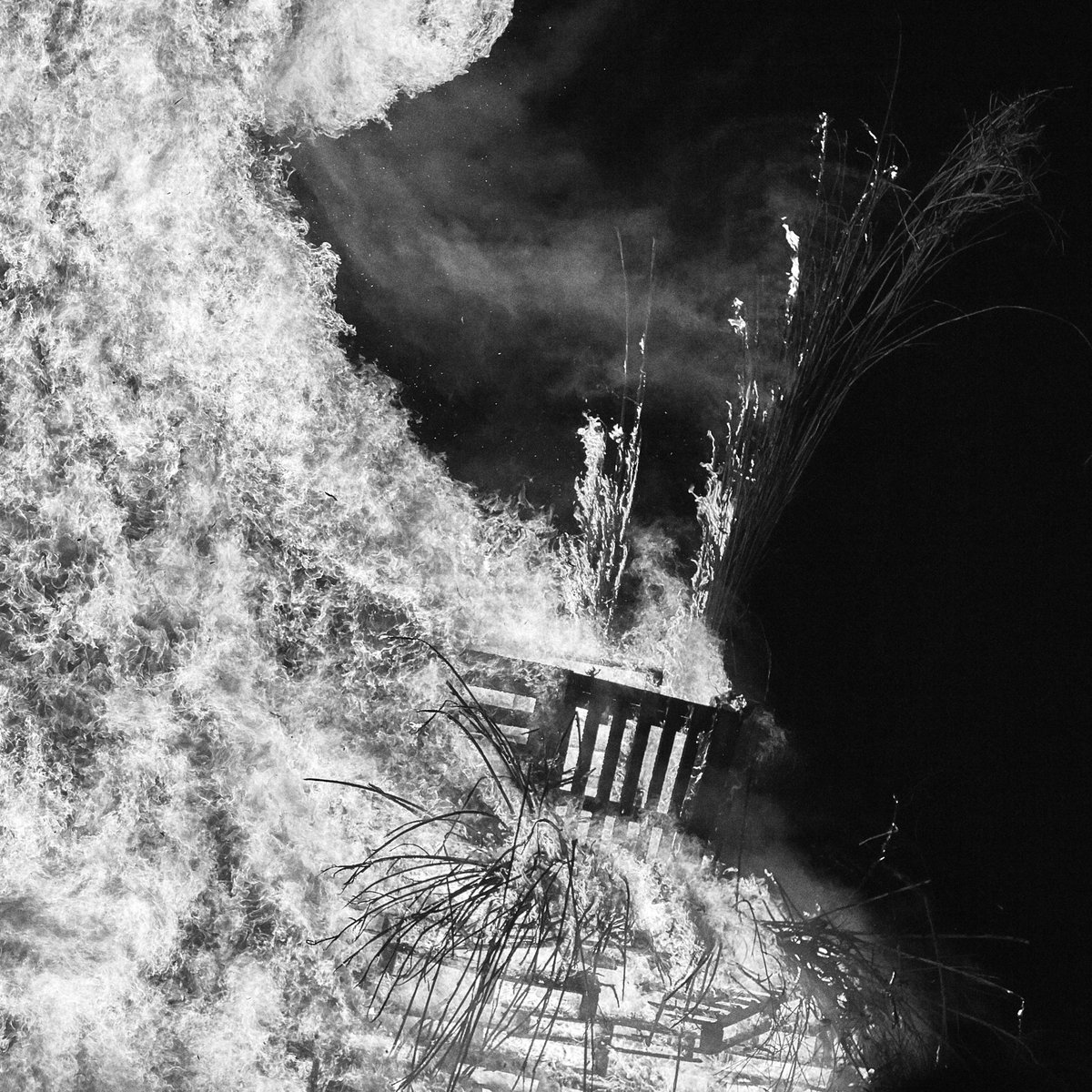 Robin__Friend's tweet image. APIARY 🔥 The NFT Collection
foundation.app/collection/rfa