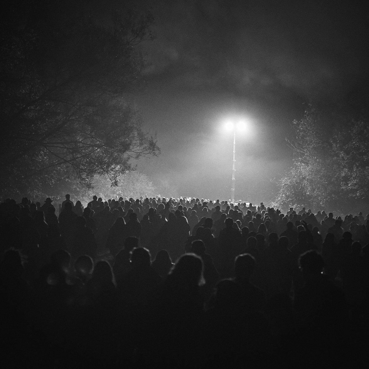 Robin__Friend's tweet image. APIARY 🔥 The NFT Collection
foundation.app/collection/rfa