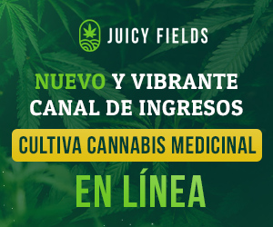 yanirasc's tweet photo. Nueva forma de negocio. Escribeme para mas info. 
https://t.co/Z6A8jZK6Ly
#cannabislegal #cannabisgrower #ingresosenlinea
#cannabisculture #fuenteingresos https://t.co/KMYdSGJQsm