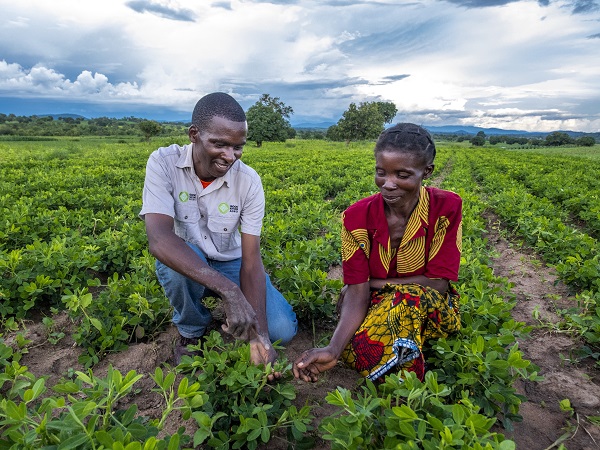 This month, we celebrate one year since welcoming @goodnatureagro, a Zambian agricultural technology company specialized in the end-to-end legume chain to our uMunthu portfolio. Read more about why we invested -> bit.ly/GNASpotlight #agriculture #Africa #impactinvesting