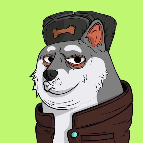 eth_moose's tweet photo. to the moon 🚀 #nft #doges https://t.co/2BfF8Z9znM