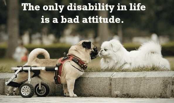 Cyber2Mix's tweet photo. That’s for sure! #badattitudesucks https://t.co/X7xF3UQT3l