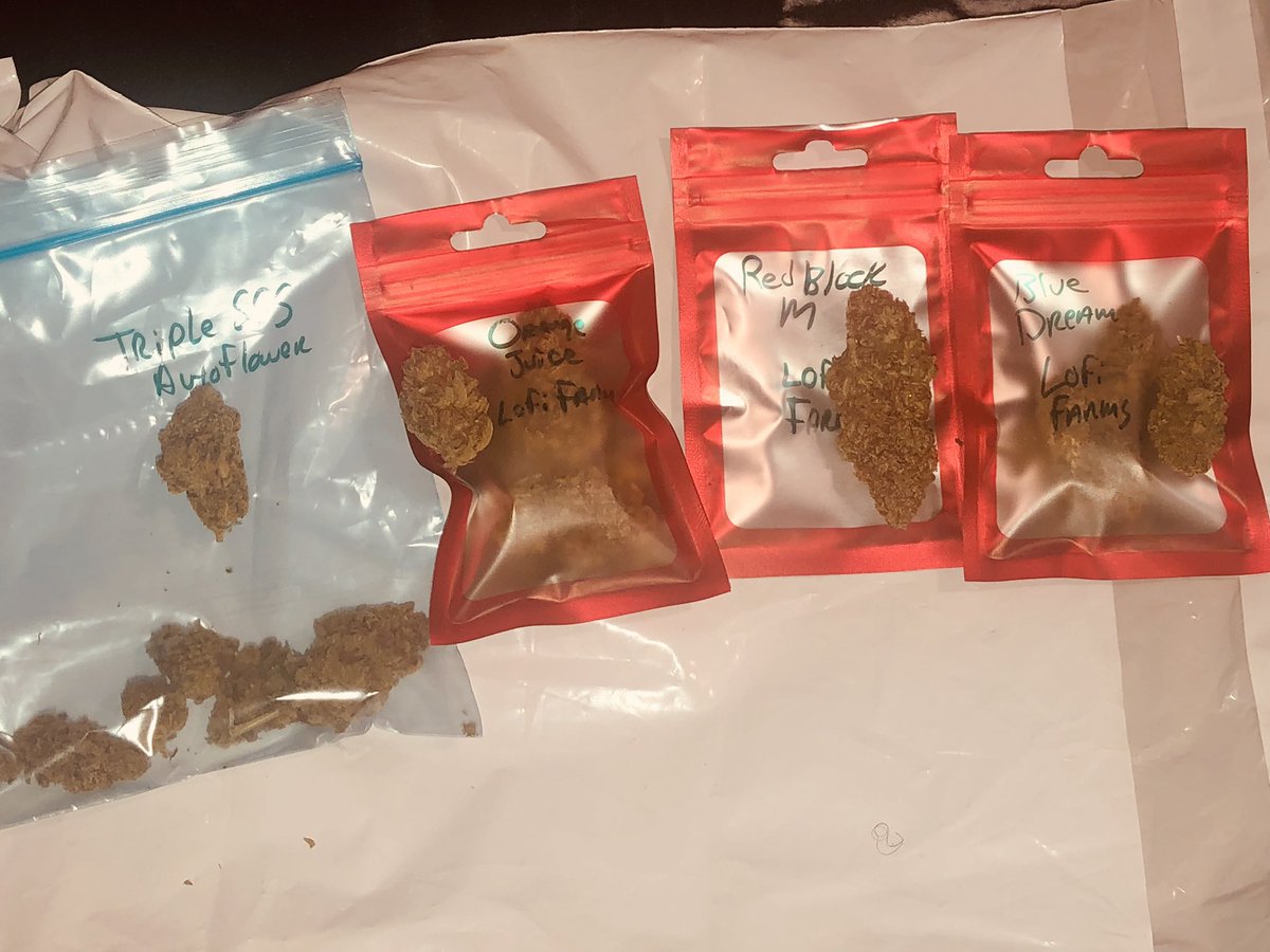 Vcannavegwriter's tweet photo. What a day in Detroit yesterday!!!!! #BlackOwned everything in cannabis! #cannabiscommunity : @sourceofcbd and @area72genetics https://t.co/JrwJ7gtV3S