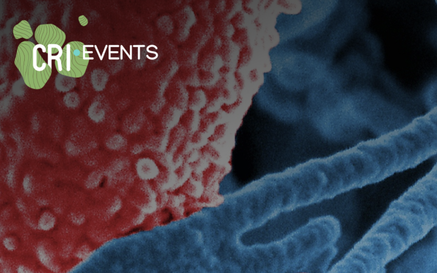 [#EVENT]

👉 CREATHON - L’Hospitalisation à domicile de <a href="/APHP/">Assistance Publique – Hôpitaux de Paris (AP-HP)</a> Assistance Publique – Hôpitaux de Paris, le Health Lab, <a href="/ImhotepSante/">Imhotep</a> et les <a href="/AteliersMercure/">Les Ateliers Mercure</a> pour une journée hors du commun autour de l’avenir des soins à domicile

📆 8/12 au CRI
📲 Infos : events.cri-paris.org/e/69