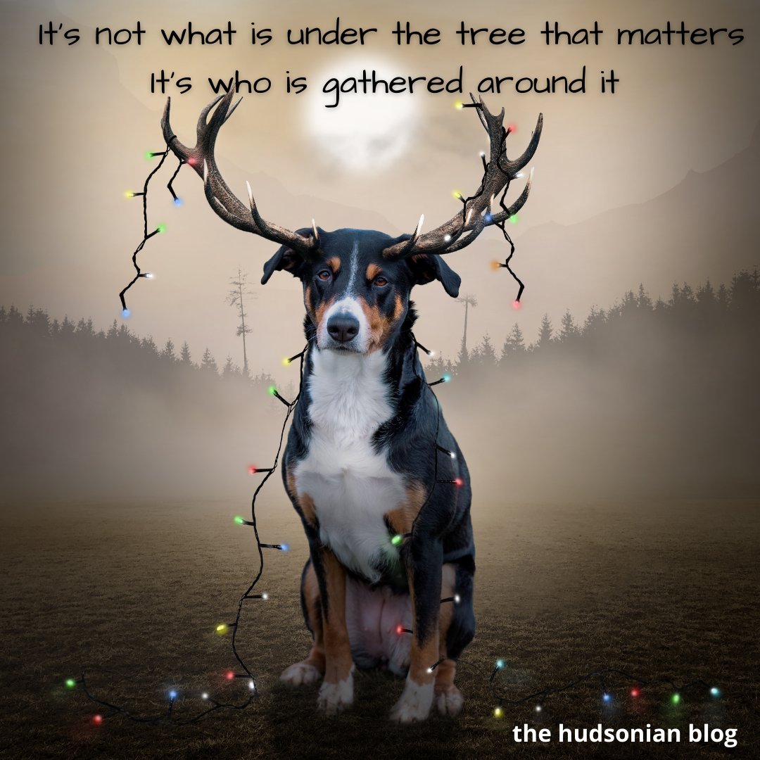 HudsonianThe's tweet photo. "It's not what is under the tree that 
matters. It's who is gathered around it" - the 
hudsonian blog WoW 138 #words #wordsofwisdom 
#wisdom #wisdomquotes #quotes #life #inspiration 
#inspiratonalquotes #christmas #thehudsonianblog 
#gatheredaround #underthetree https://t.co/CrJpzHz9o0