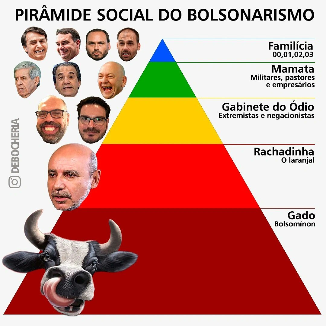 GadoDecider's tweet photo. O 🐮 é a base. https://t.co/3Ec3qfmx3C