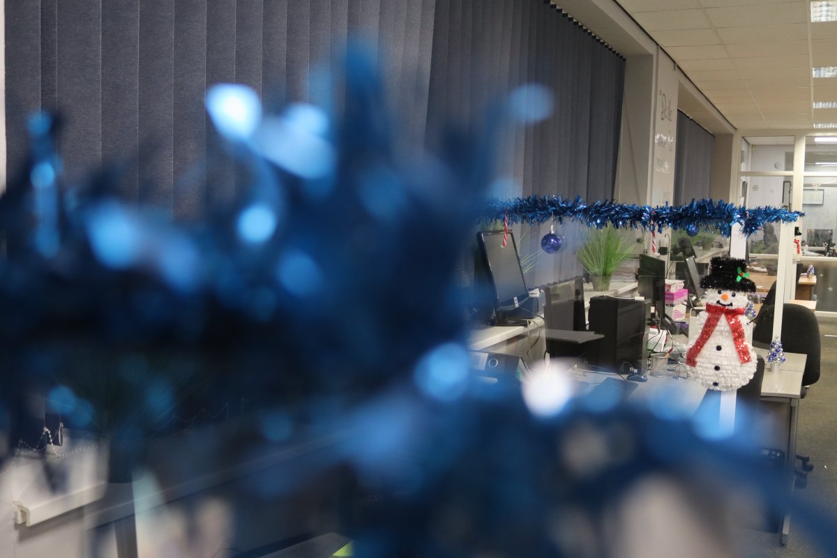 Mansfield Pollard tweet media