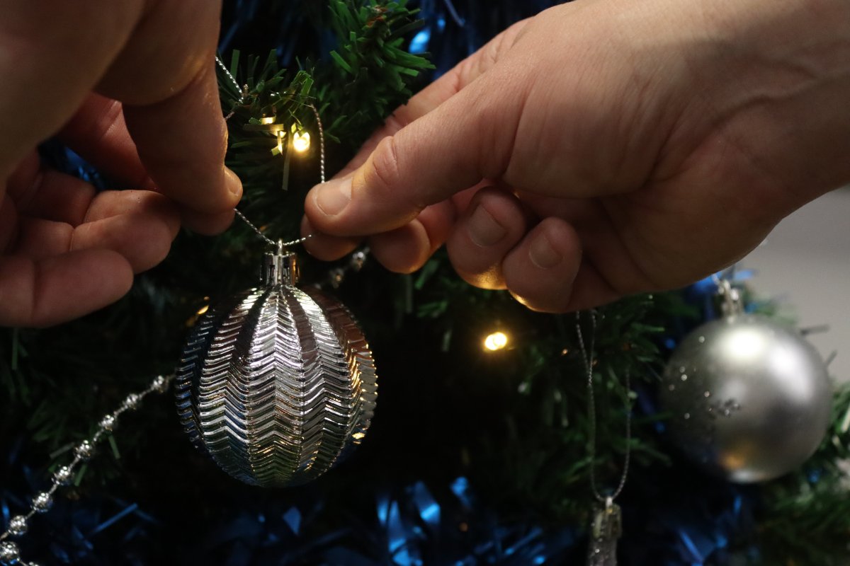 Mansfield Pollard tweet media