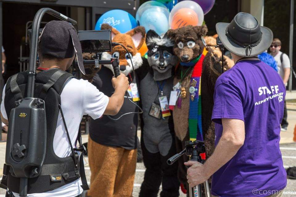 THE_BJBUTTONS's tweet photo. #FursuitFriday #fursuiteveryday #Memphit2017 #FWPhotoContest @FursuitersWorld @KennyKitsune, @MikeWielder, & @THE_BJBUTTONS /Waldolf poising for a photograph just after the #fursuit #parade at this years Memphit FurMeet photo by Dusty Miller https://t.co/AEH87Sruyq