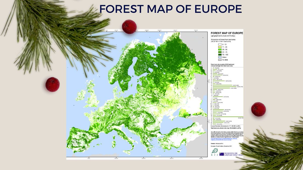 Tree_Lads tweet picture
