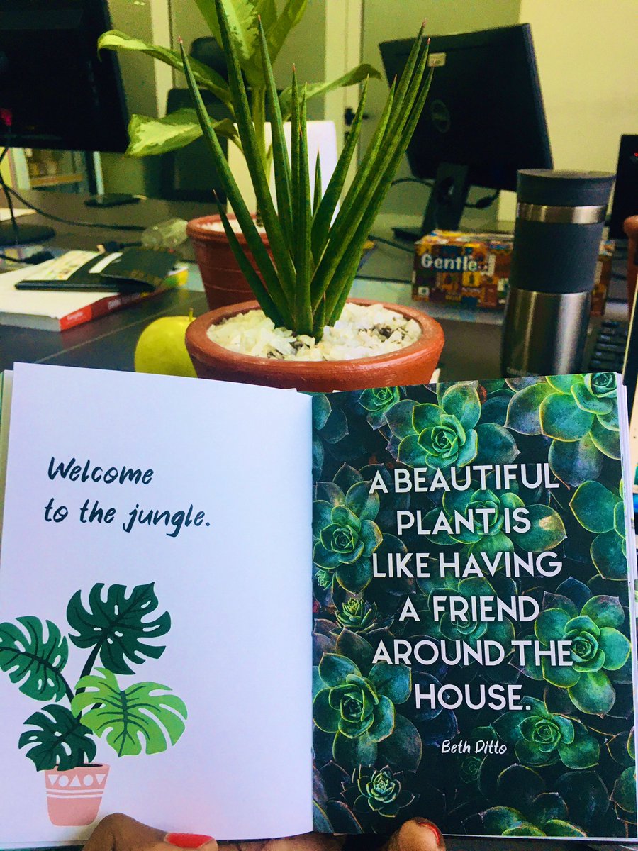 Dee_Kae's tweet photo. Just got the most awesome unexpected little gift! Thank you @delaborntowin this is really cool & thoughtful! Absolutely 💚 it!
Dunno who’s smiling more, me or my plants 😁😊 🪴🌿🍀💚
#GreenDecember #PerfectStart #NewMonth #GreenLiving #PlantParent #SoftLife #Naturelover https://t.co/E0SMAl69SN