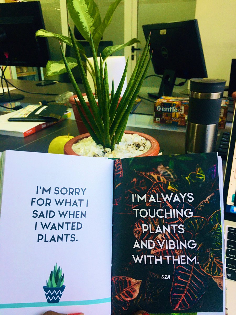 Dee_Kae's tweet photo. Just got the most awesome unexpected little gift! Thank you @delaborntowin this is really cool & thoughtful! Absolutely 💚 it!
Dunno who’s smiling more, me or my plants 😁😊 🪴🌿🍀💚
#GreenDecember #PerfectStart #NewMonth #GreenLiving #PlantParent #SoftLife #Naturelover https://t.co/E0SMAl69SN