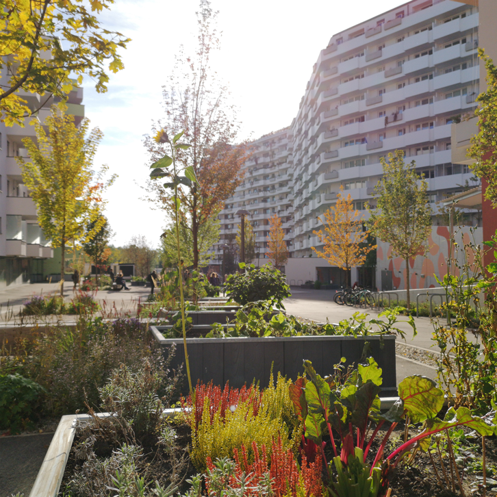gruenstattgrau's tweet photo. Im #Advent präsentiert GSG täglich Inspiration über #Bauwerksbegrünung! Projekt #1 - Die #BiotopeCity versteht sich als nachhaltige Gartenstadt &amp; reagiert auf die zunehmende Verstädterung &amp; den #Klimawandel mit Grünflächen &amp; nachhaltigem Wassermanagement: https://t.co/CsCDFt8NxZ https://t.co/upDsJDVf6O