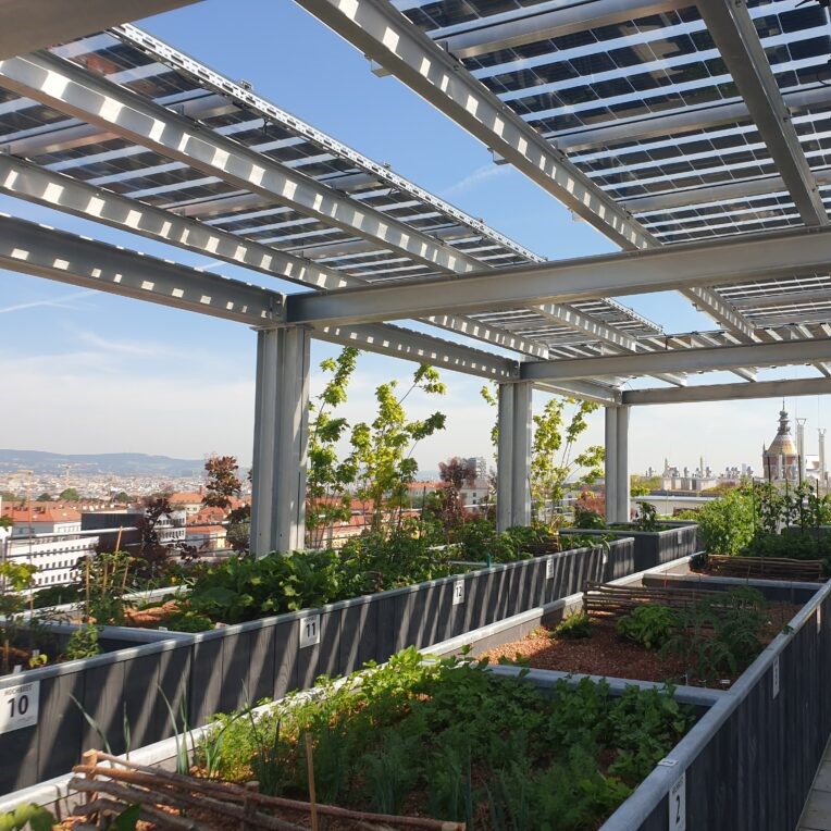 gruenstattgrau's tweet photo. Im #Advent präsentiert GSG täglich Inspiration über #Bauwerksbegrünung! Projekt #1 - Die #BiotopeCity versteht sich als nachhaltige Gartenstadt &amp; reagiert auf die zunehmende Verstädterung &amp; den #Klimawandel mit Grünflächen &amp; nachhaltigem Wassermanagement: https://t.co/CsCDFt8NxZ https://t.co/upDsJDVf6O