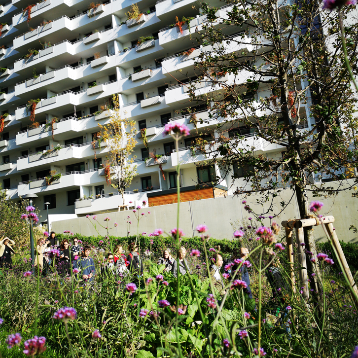 gruenstattgrau's tweet photo. Im #Advent präsentiert GSG täglich Inspiration über #Bauwerksbegrünung! Projekt #1 - Die #BiotopeCity versteht sich als nachhaltige Gartenstadt &amp; reagiert auf die zunehmende Verstädterung &amp; den #Klimawandel mit Grünflächen &amp; nachhaltigem Wassermanagement: https://t.co/CsCDFt8NxZ https://t.co/upDsJDVf6O