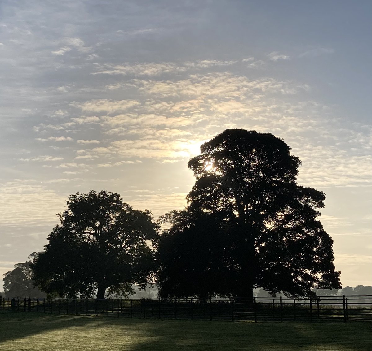 Attending a <a href="/WoodCircusEU/">WoodCircus</a> seminar, woodcircus.eu on the potential of European wood processing and wood working industries in the circular economy.