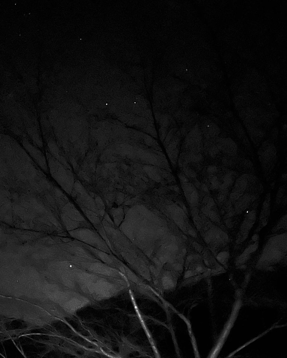 MGYIFC's tweet photo. [SNS] 211201 Moon Geun Young Instagram Update

Night, star, tree, sky, wind,  winter smell, calm, peace, alone.
And also music.
#Yeonsoo (Artist) #NoLove (Song Title) #TheTracks #AllAreGood ☺️
#Day2266💋

#MoonGeunYoung #문근영 https://t.co/imJGPoXW2l