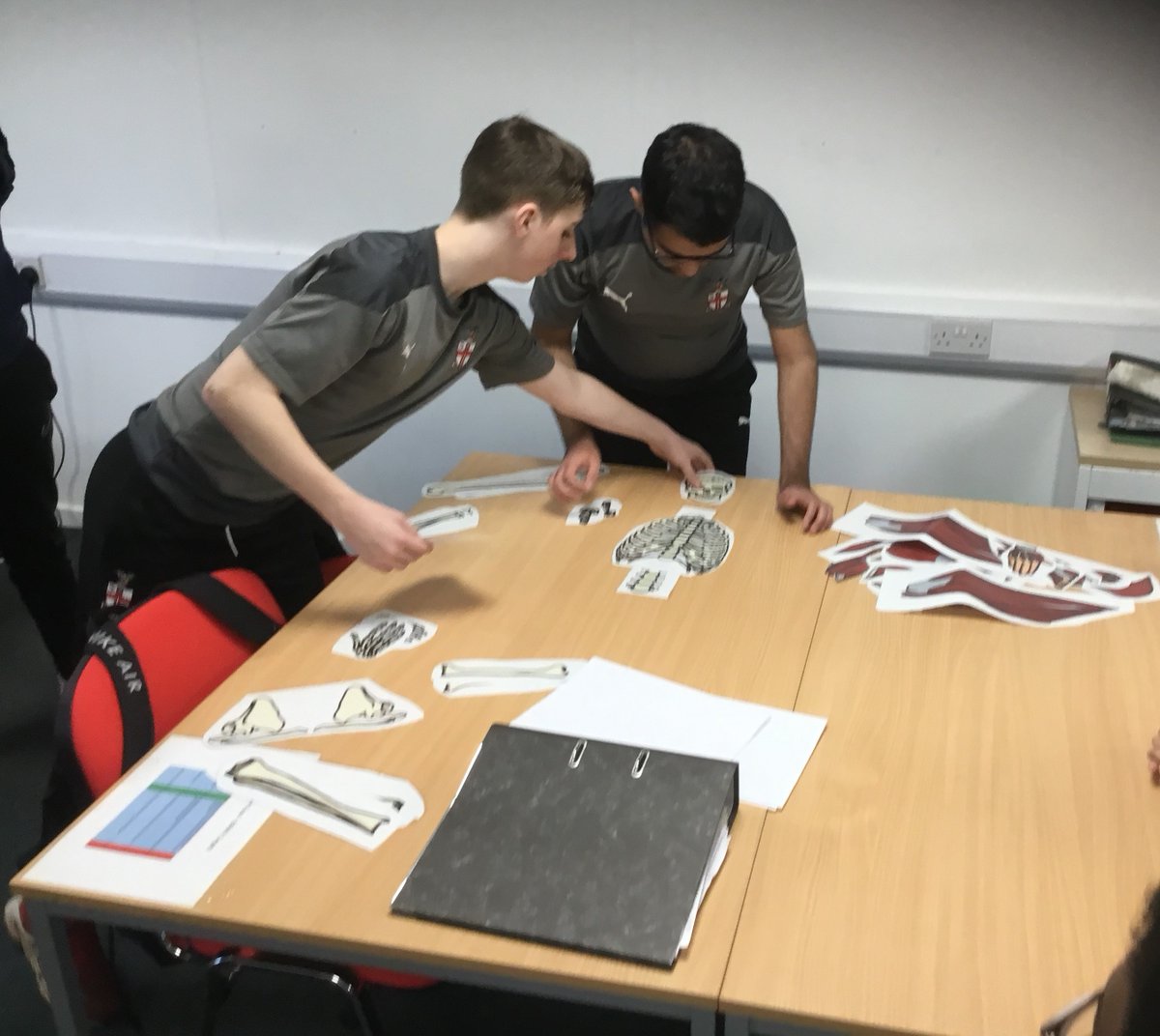 HBVCollege's tweet photo. @HBVC Sport and Education student's continued their work on human anatomy. Scaffolding on their knowledge of the skeletal system, students have now started work on the muscular system and relating it to their practical sport sessions. 

#hbvc #hbvcThePlaceToBe

❤️💚 https://t.co/KjCcDukf2C