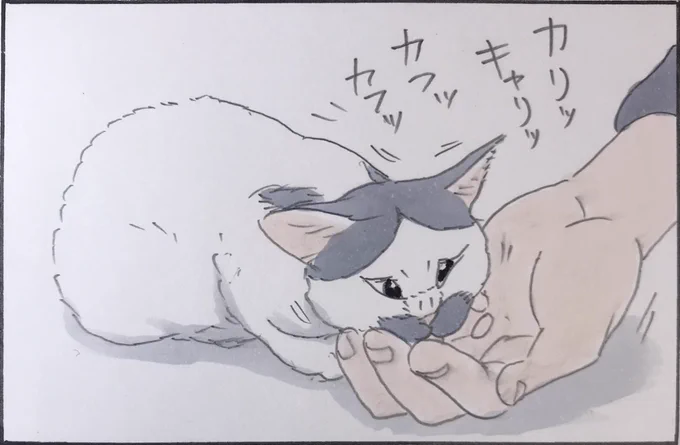 『向こう側』 
