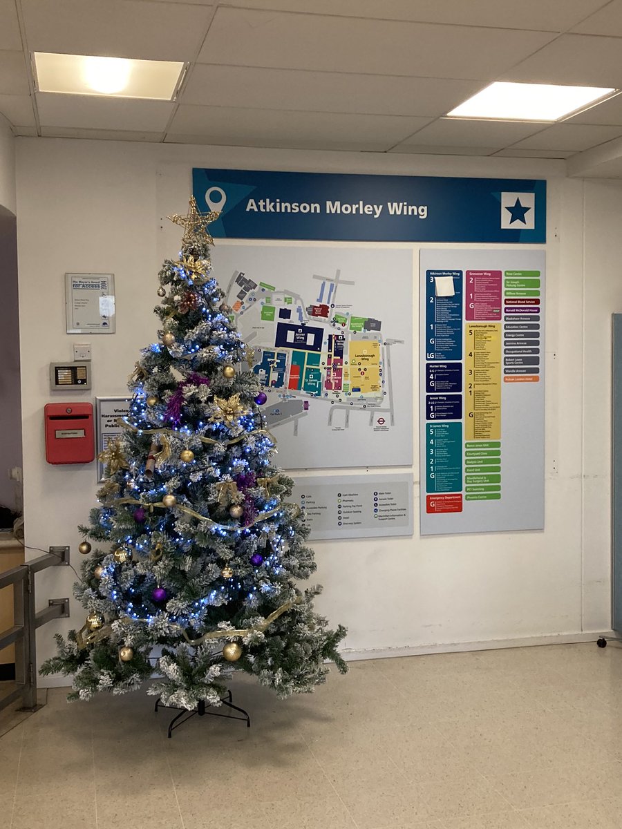 PNhsfm's tweet photo. It’s that time of the year for the Christmas trees to be put up @StGeorgesTrust just need some presents put underneath by old Saint Nick now @JennidomanDoman @CatherineLeak https://t.co/MazL7jCnKF