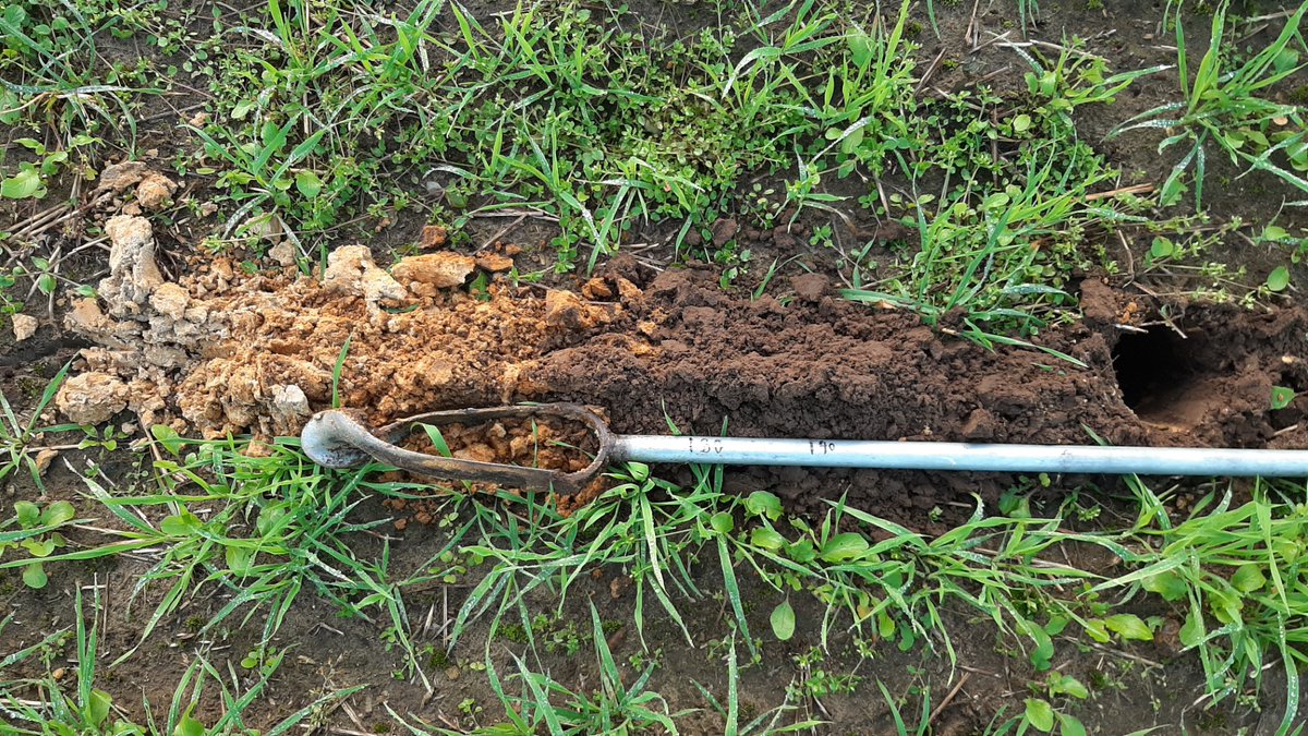 In het Project GRIP op de Veluwe gebruiken we Fieldscout voor het bepalen van afwijkende zones percelen en op die plekken gericht met gewas- en boormonster analyses bodem de oorzaak te achterhalen voor advies verbetering
#Delphy #LTONoord