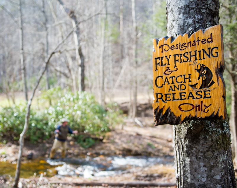 GA_MTN_CABINS's tweet photo. Did you know? January has some of our LOWEST PRICES of the season -- even weekends! Click below to start 2022 off with an unforgettable escape at a great nightly rate😊
Here are just a few cabins that are available this January: https://t.co/PSruqWa55I

 #blueridgega #cabinrental https://t.co/vj8vByfi2J