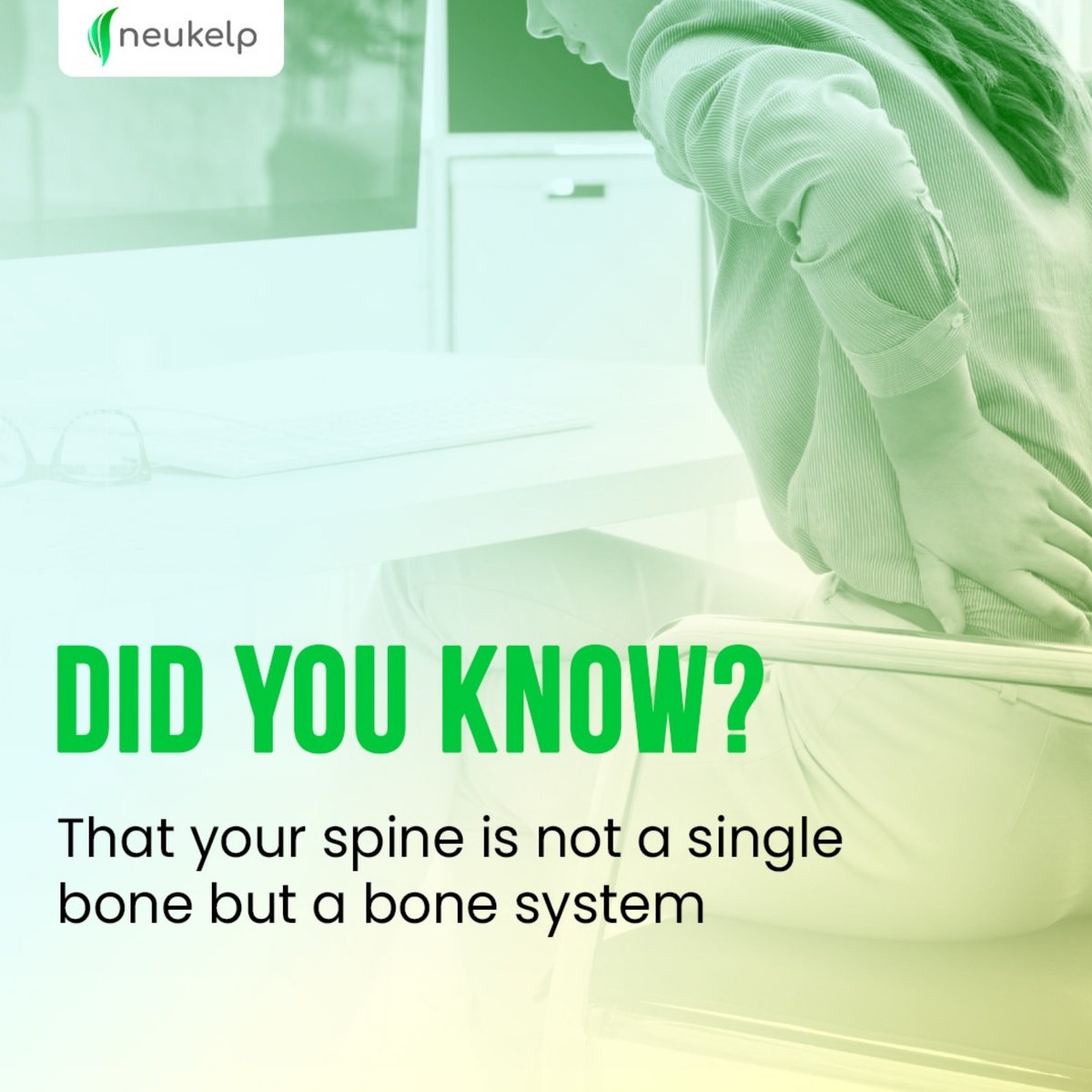 Our spine is composed of: 

• 26 bones (24 vertebrae, the sacrum, and the coccyx)
• Spinal cord
• Cartilaginous elements
• Nerve roots
• Tendons, and more.

So, it is important to take care of our spine but sitting correctly. To make your spine and posture fit use Neukelp.