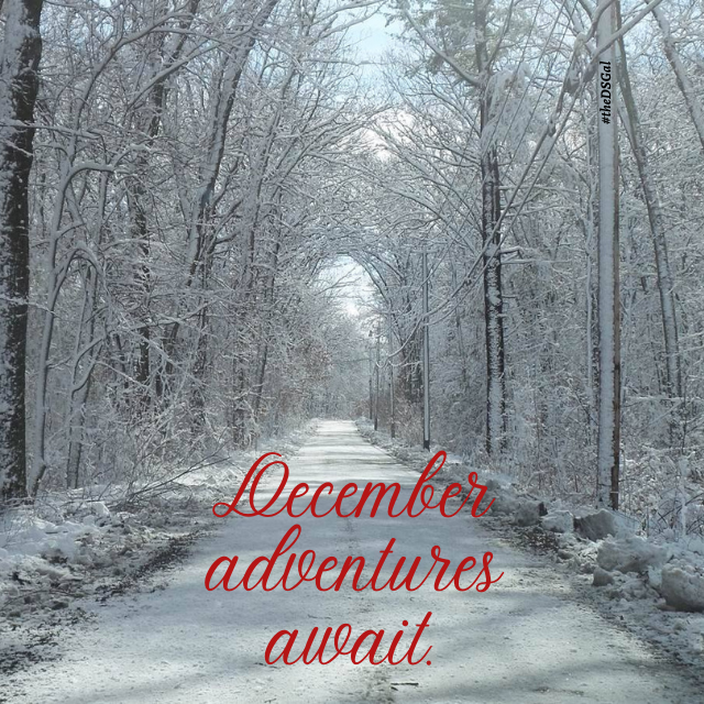 mymetalmadness's tweet photo. It's a magical time of year. 🚙🎄❄️
#adventure #December #helloDecember #Decemberadventures #tistheseason #Christmas #Christmastime #hollyjolly #hohoho #magicaltimeoftheyear #welder #welding #metalwork #metalart #keepcraftalive #hitchyaride #MyMetalMadness #theDSGal https://t.co/YfOYotBZ1u
